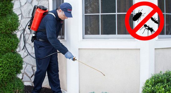Alaşehir Dezenfeksiyon böcek ilaçlama ve haşere kontrolü — ilaclama-tr.com